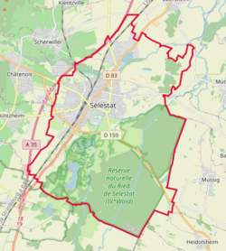 Sélestat OSM 01